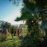 Trail Larzac Dourbie en Aveyron